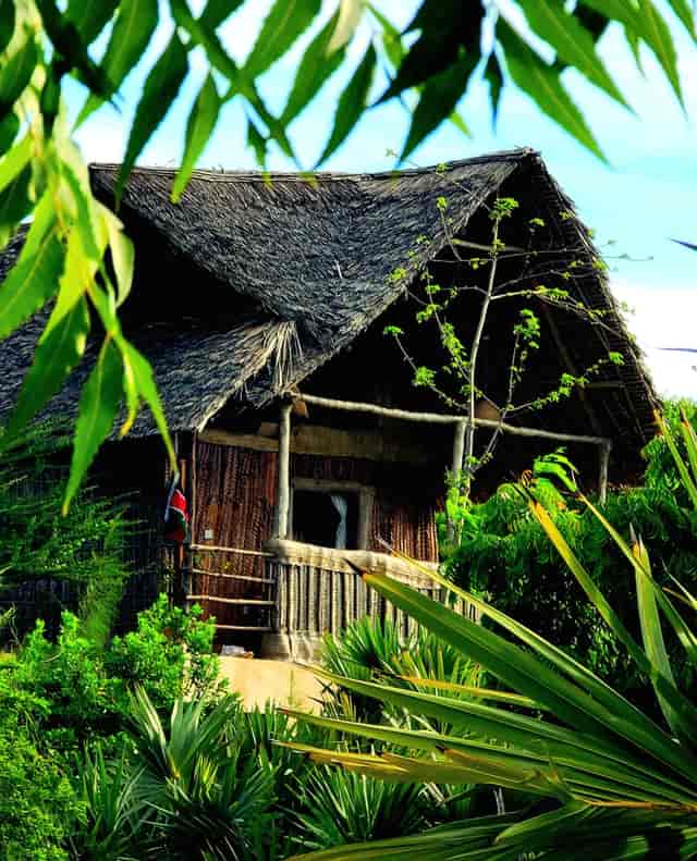 Makuti Banda at Brigitte's Inn: Eco-luxury setting for executive retreats and boutique events.