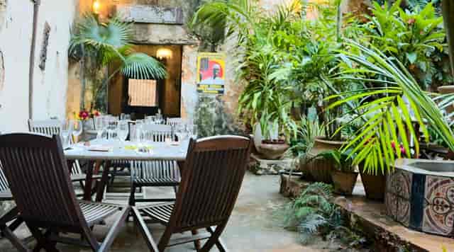 Secret Garden courtyard restaurant for intimate dining and boutique networking events.