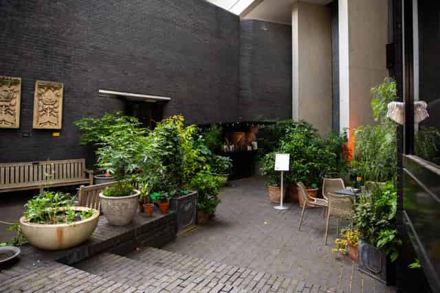 Summer at RCP London Events