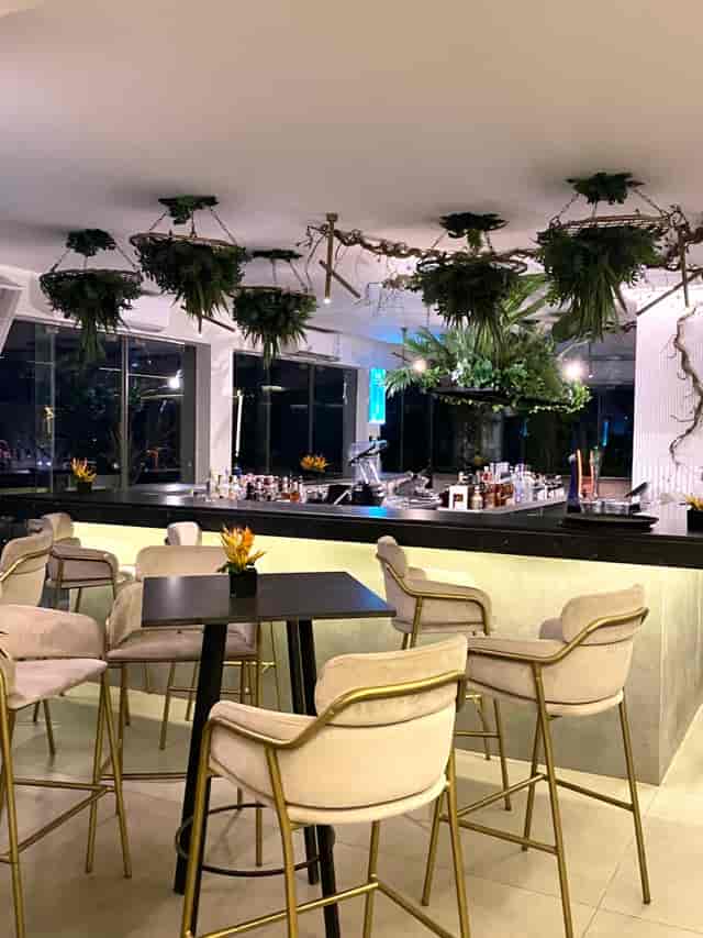 Biophilic lounge at Vertigo Hotel for corporate receptions and networking events.