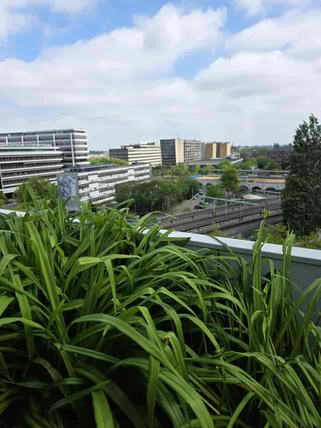 Coffee shop rooftop terrace at Stereo Weena, ideal for business networking and corporate events.
