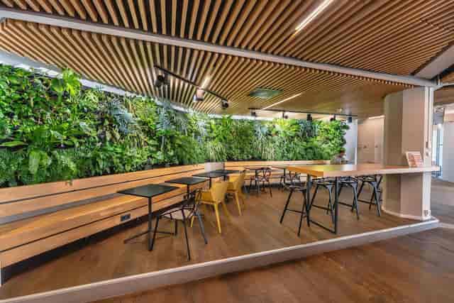 Biophilic conference breakout room with timber ceilings for networking and corporate events.
