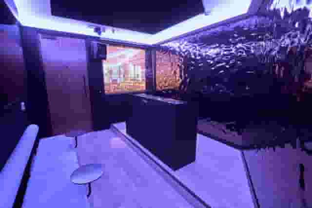 Qube Elephant Lounge & Bar