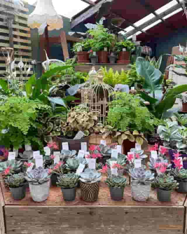Babylon Garden Centre