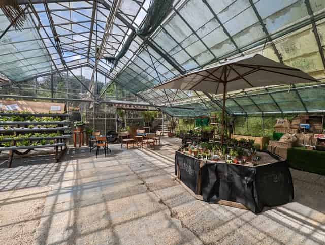 The Nursery