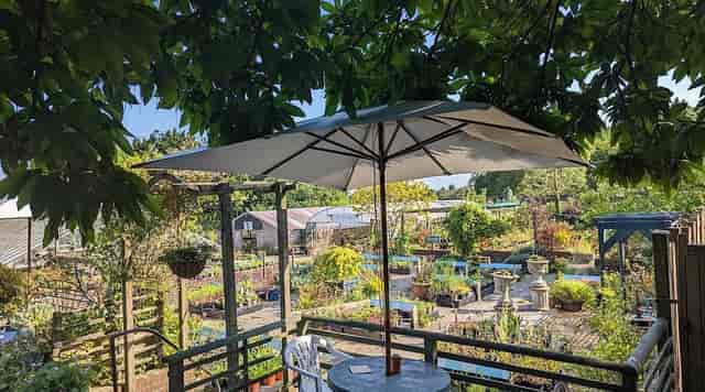 BABYLON - THE KITCHEN, Duddleswell - 2025 Reviews & Information