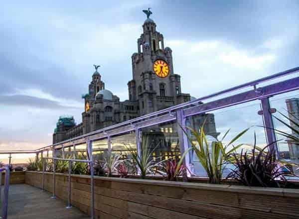 Roof Garden