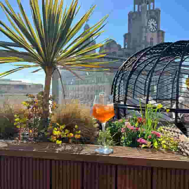 Roof Garden