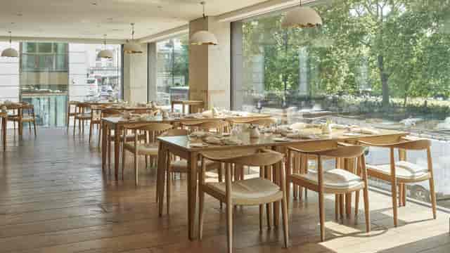 The Piccadilly View