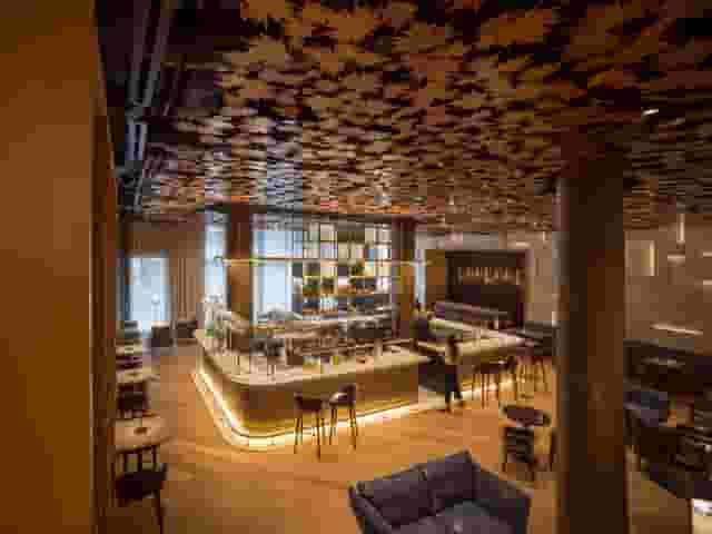 Sycamore Bar