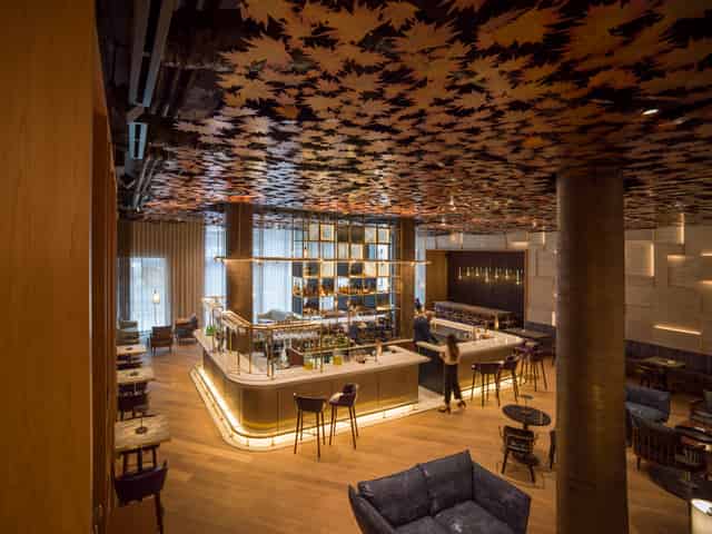 Sycamore Bar