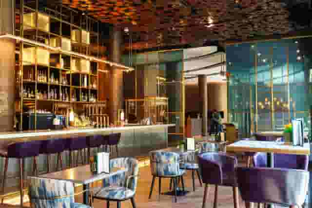 Sycamore Bar