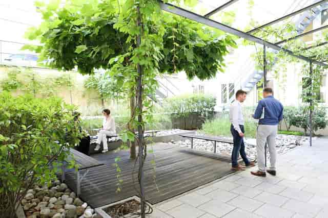 Biophilic breakout hall at Kolpinghaus München, ideal for small group workshops and networking.