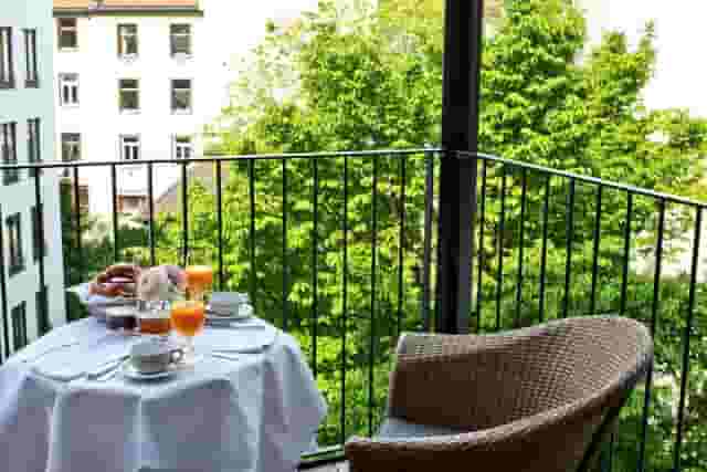 Garden / Terrace