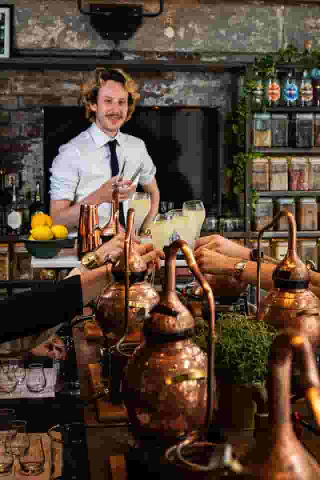 Gin School