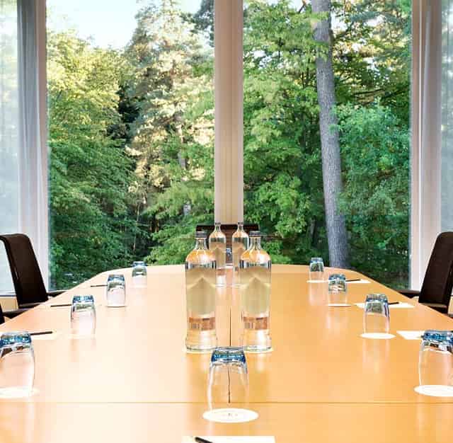Meeting Room in the Woods
