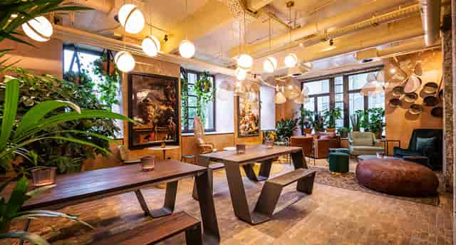 Biophilic lounge with industrial lighting for creative workshops and team brainstorming sessions.