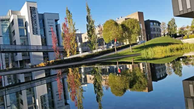 Corporate campus