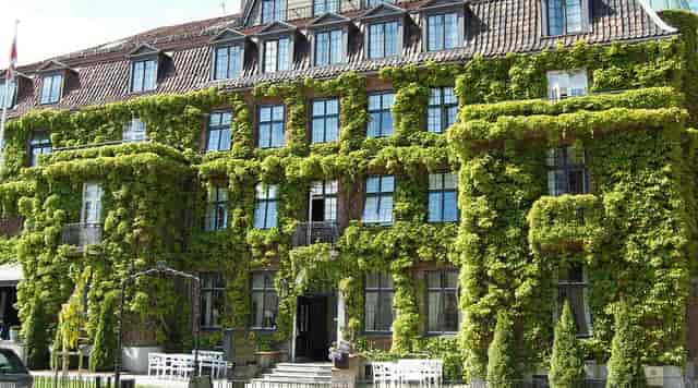 Ivy-clad Brasserie at Gabelshus, ideal for executive retreats and intimate weddings.