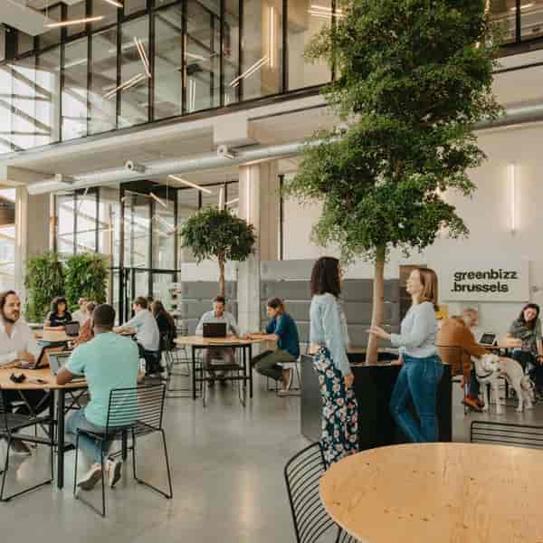 Modern biophilic coworking hub for professional networking and flexible business events.