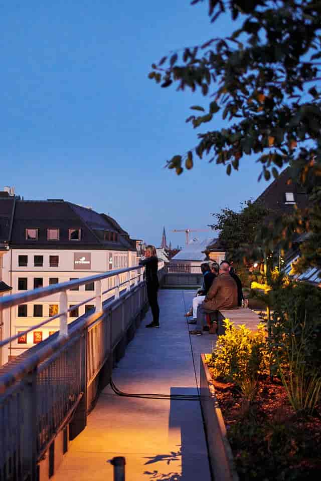 Hartmanns rooftop garden for corporate cocktail hours and sunset networking events.