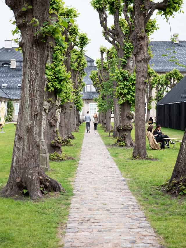 Museum garden