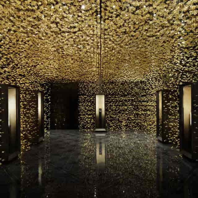 The Collection at the Hôtel de la Marine - The Al Thani Collection