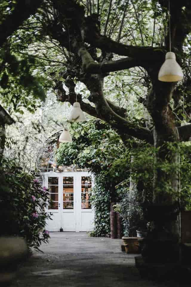 Lush garden venue at LADÜ, perfect for an intimate micro-wedding or boutique welcome reception.