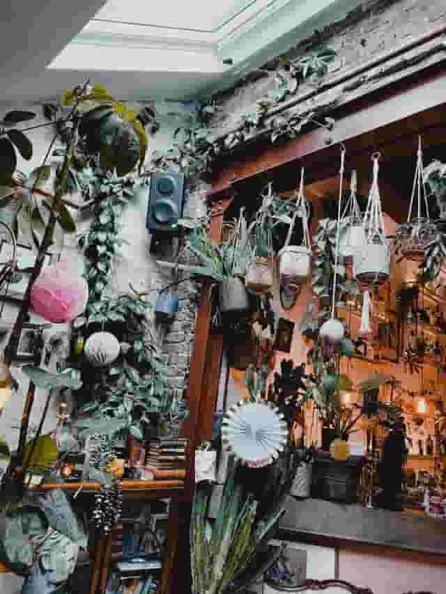 Cocktail bar