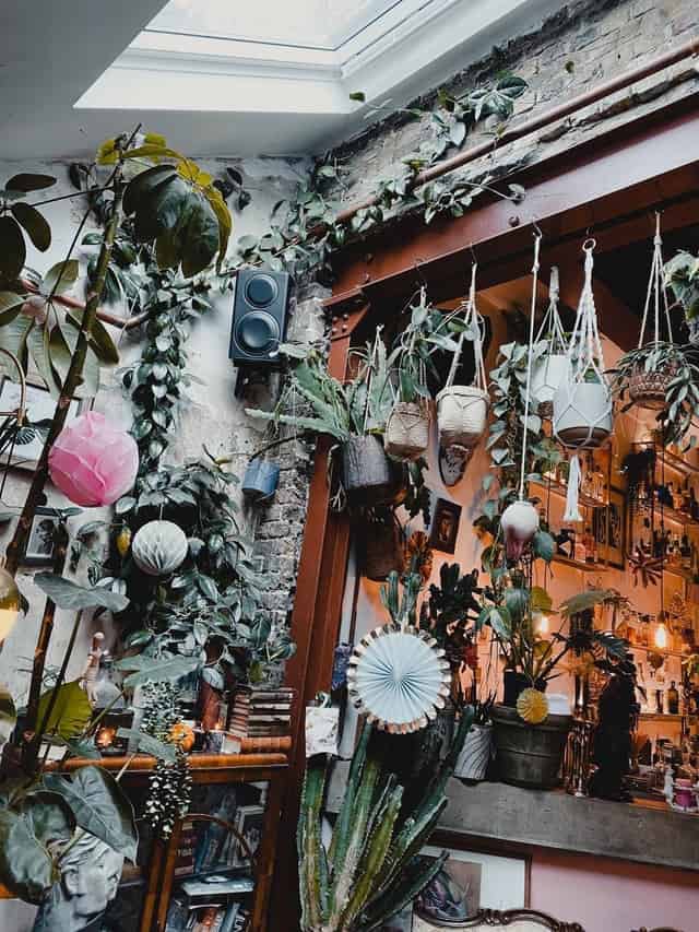 Cafe