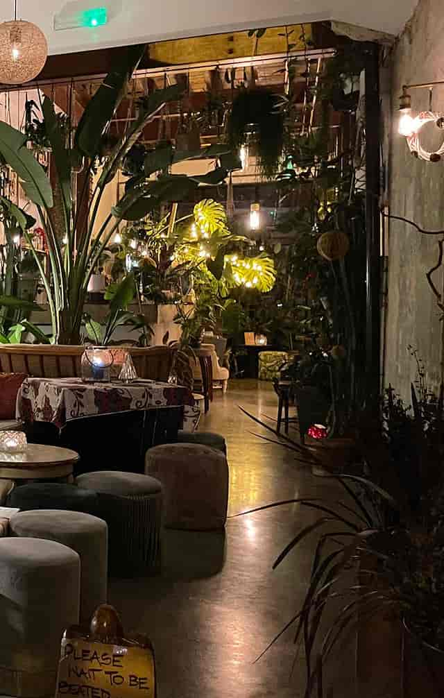 Boutique networking event at Zapoi restaurant with lush biophilic design and ambient lighting.