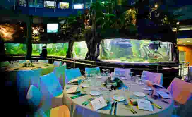 Planeta Aqua Room