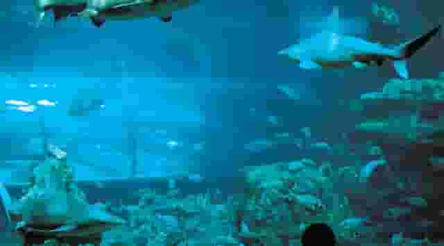 Planeta Aqua Room