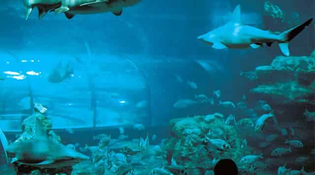Planeta Aqua Room