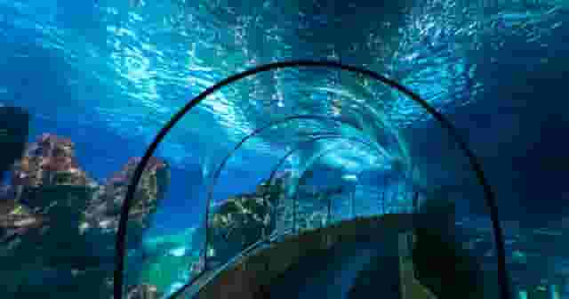 Planeta Aqua Room