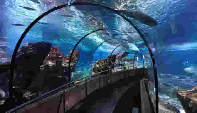 Planeta Aqua Room