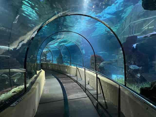 L'Aquàrium - >Vladan Ryšavý</a>