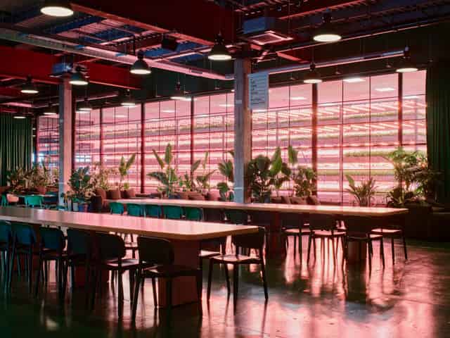 Food Hall and Cafe Bar 