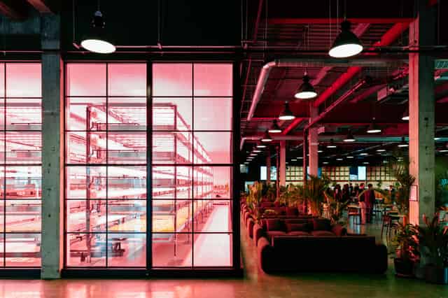 Food Hall and Cafe Bar 
