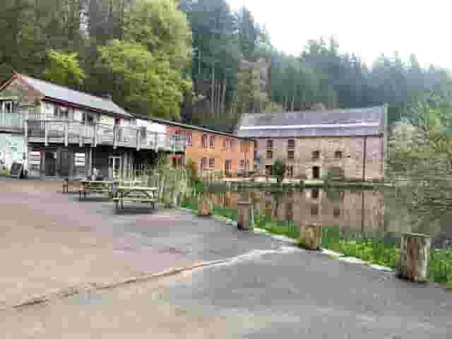 The Paddock