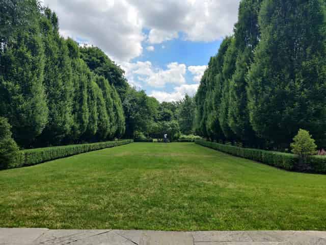 Garden Area