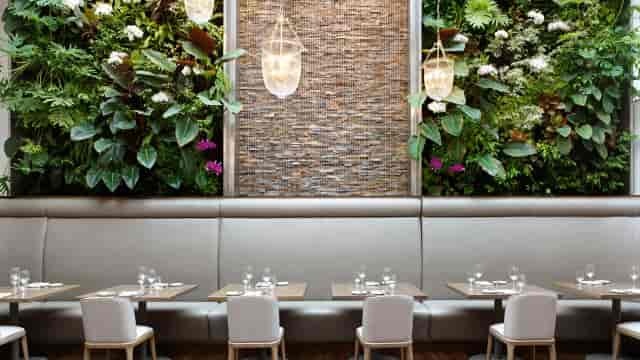 Biophilic patio dining at Sassafraz, perfect for sophisticated VIP dinners and breakout lunches.
