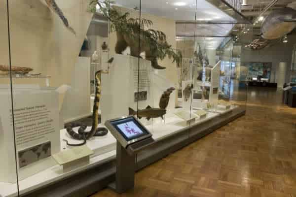 Schad Gallery of Biodiversity