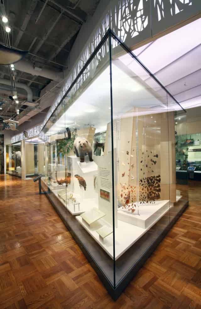 Schad Gallery of Biodiversity