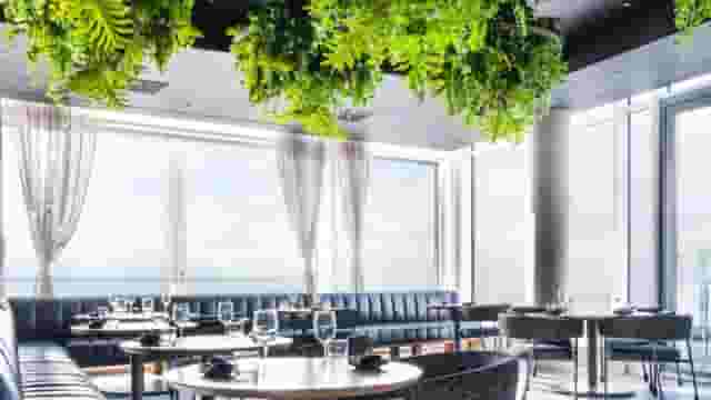 Cocktail bar