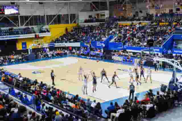 Arena