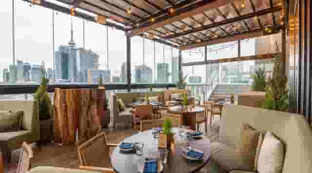 cafe