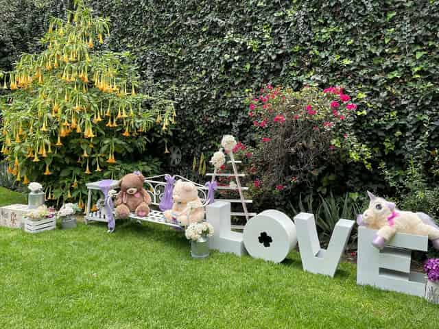 Children's Party Space