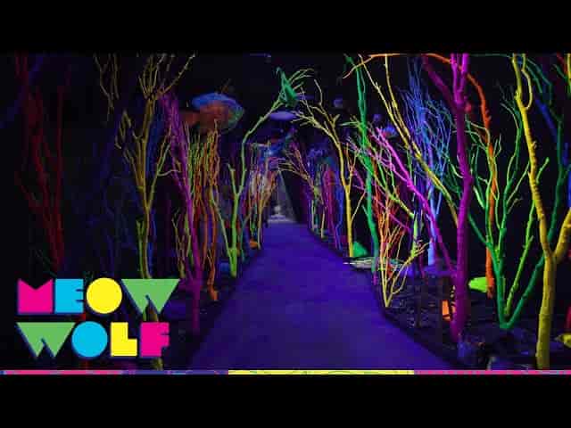 Meow Wolf Santa Fe immersive light exhibit, sculptural art installation for experiential events.