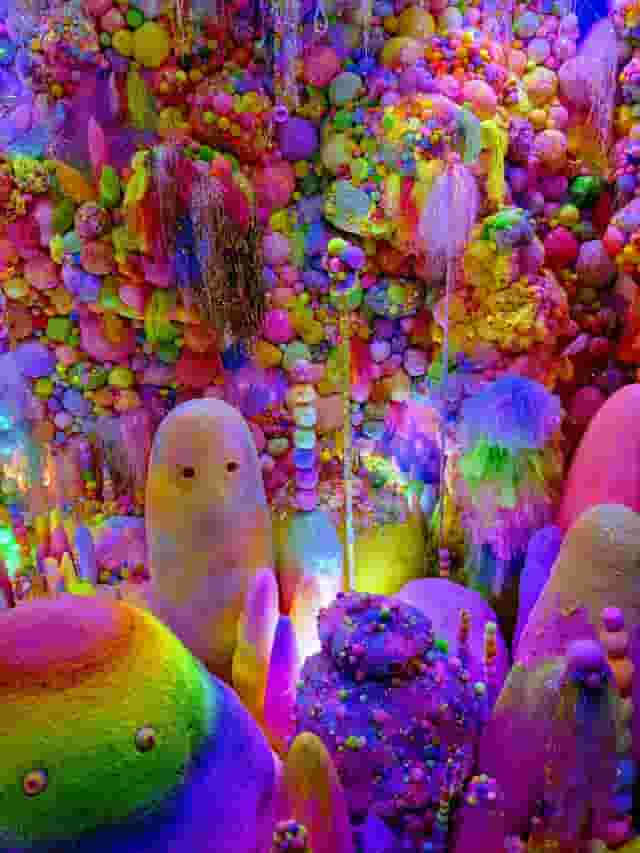 Rainbow Rainbow
